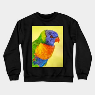 Rainbow Lorikeet Crewneck Sweatshirt